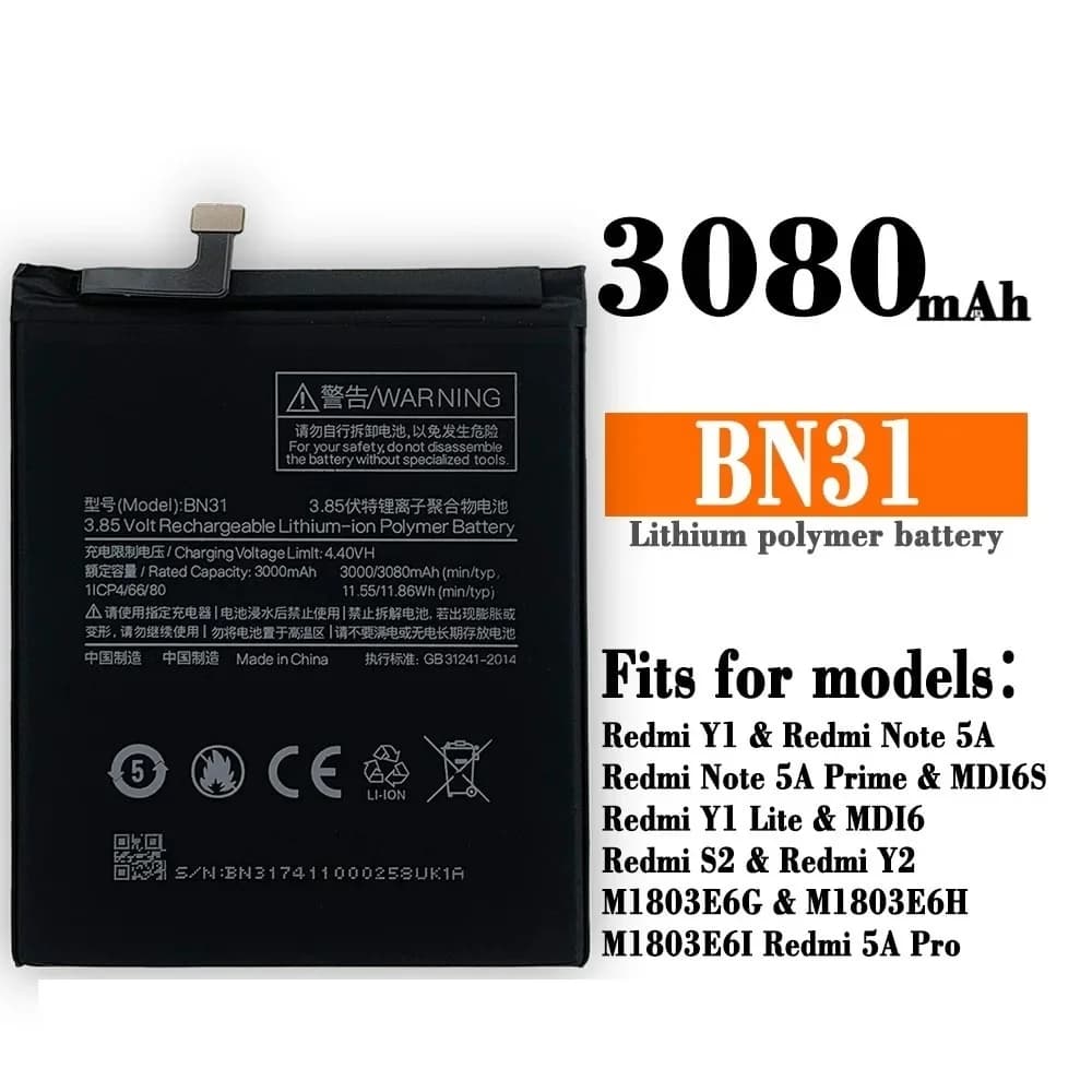 BN31